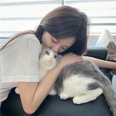 合约谋杀案